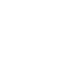 Revolution Partners Ltd